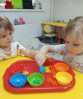 Раннее развитие